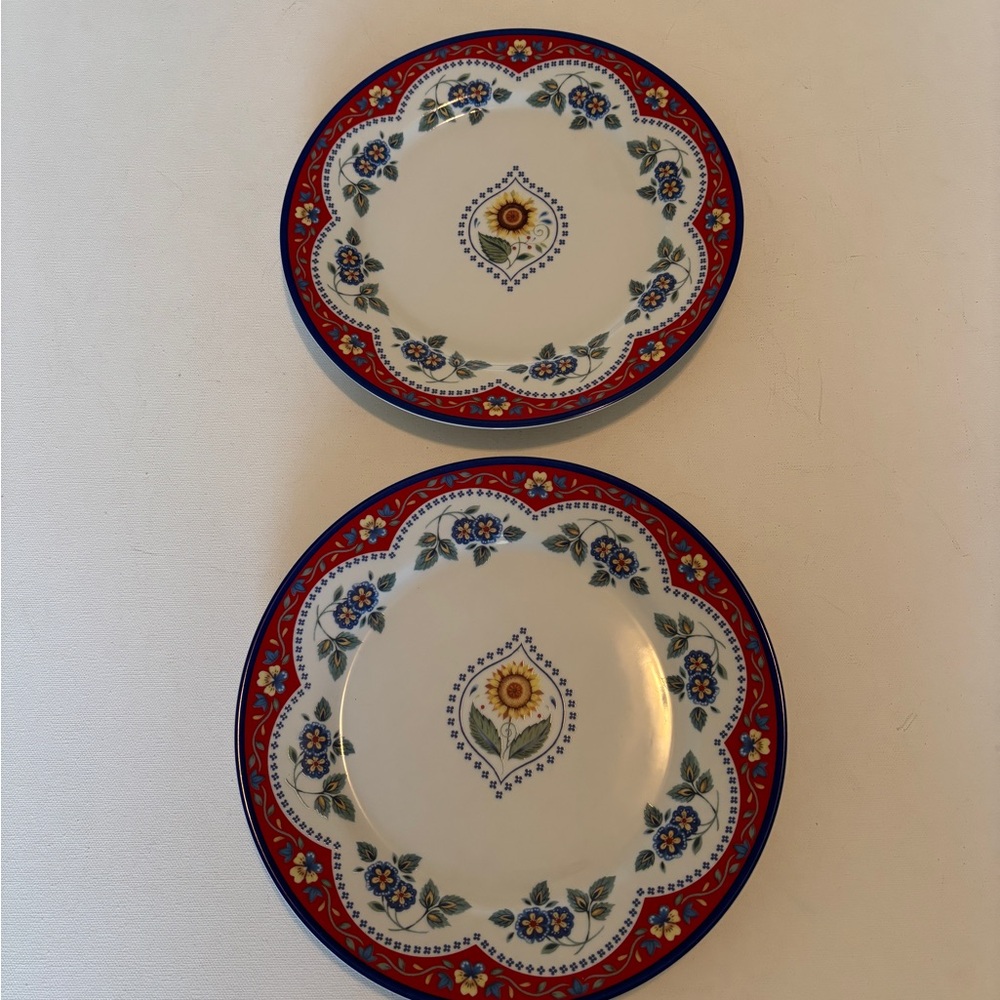 Vera Bradley Red and Blue Dinnerware Set